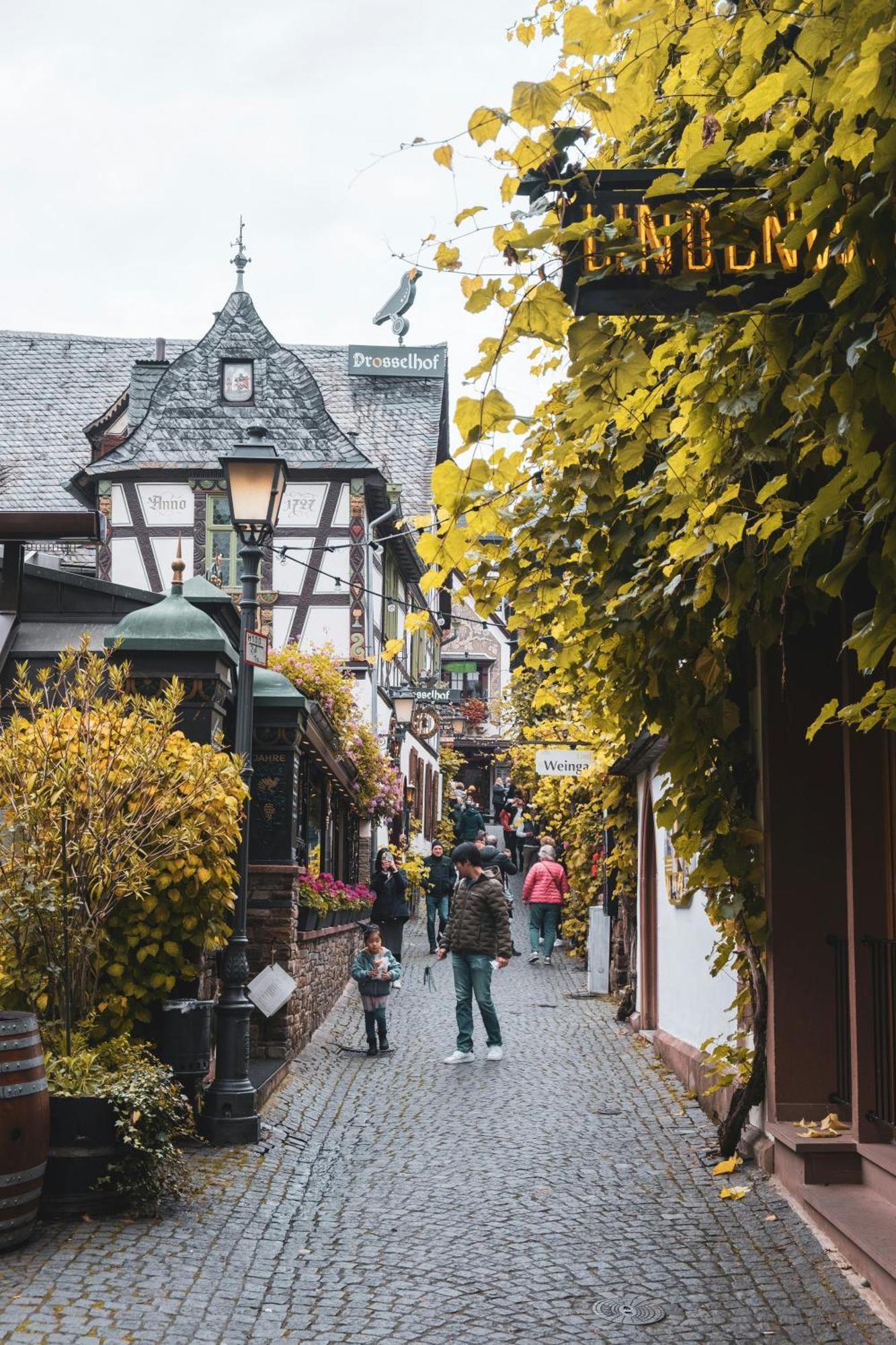 Hotel Zur Loreley - Garni Sankt Goar Eksteriør bilde